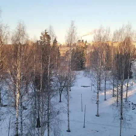 Valjastehdas Lägenhet Uleåborg